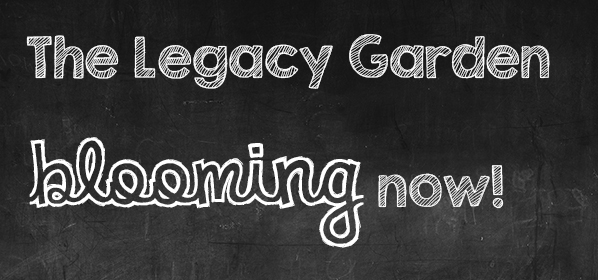 Legacy Garden - Arroyo Grande Community Foundation - Dignity Health